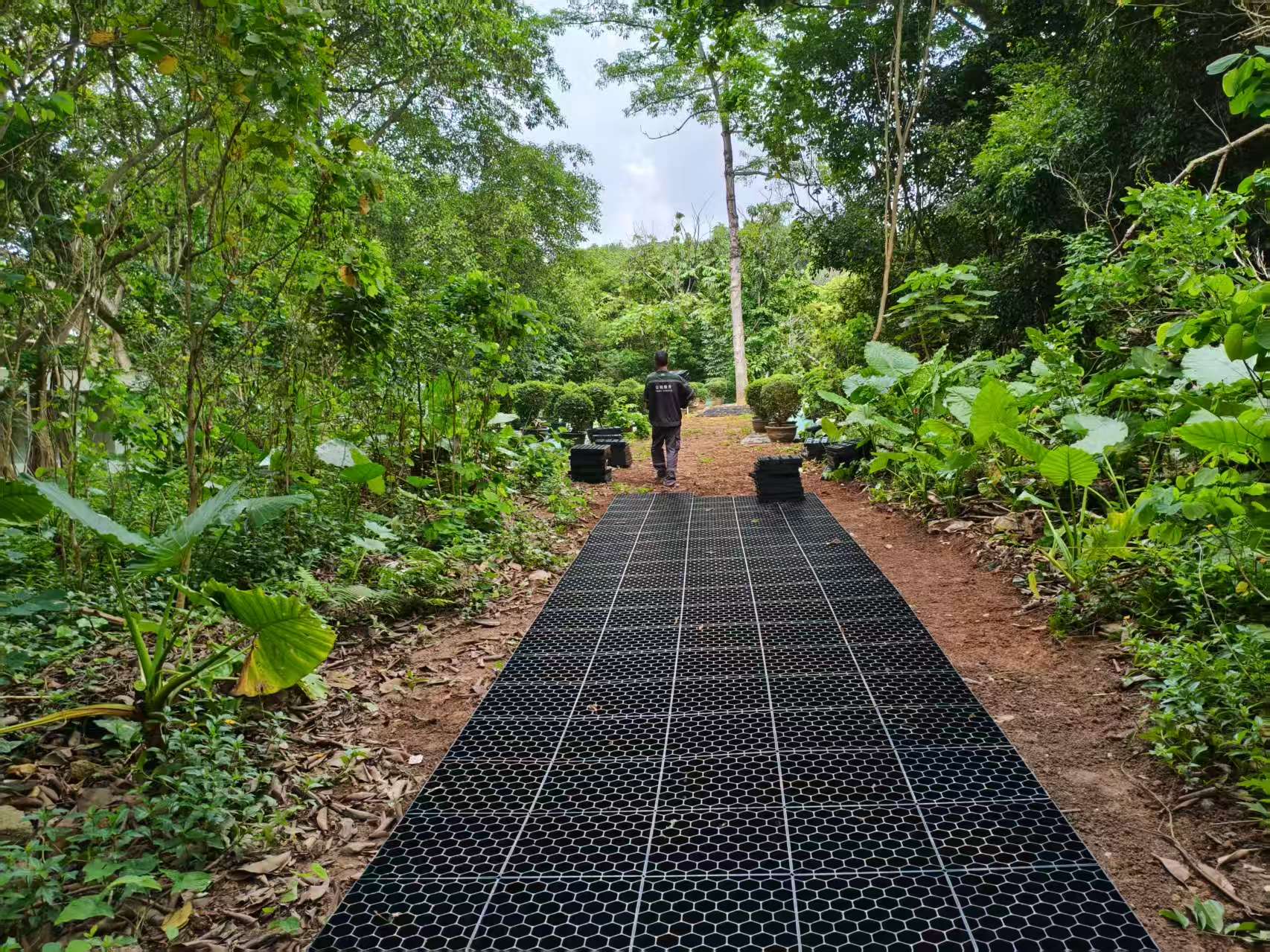 为什么景区路面不让做硬化？ 景区该如何铺装呢？